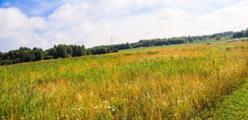 Grunty inwestycyjne na obrzeżach Opoczna